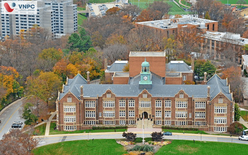Towson University: Chương trình học, điều kiện, chi phí & học bổng